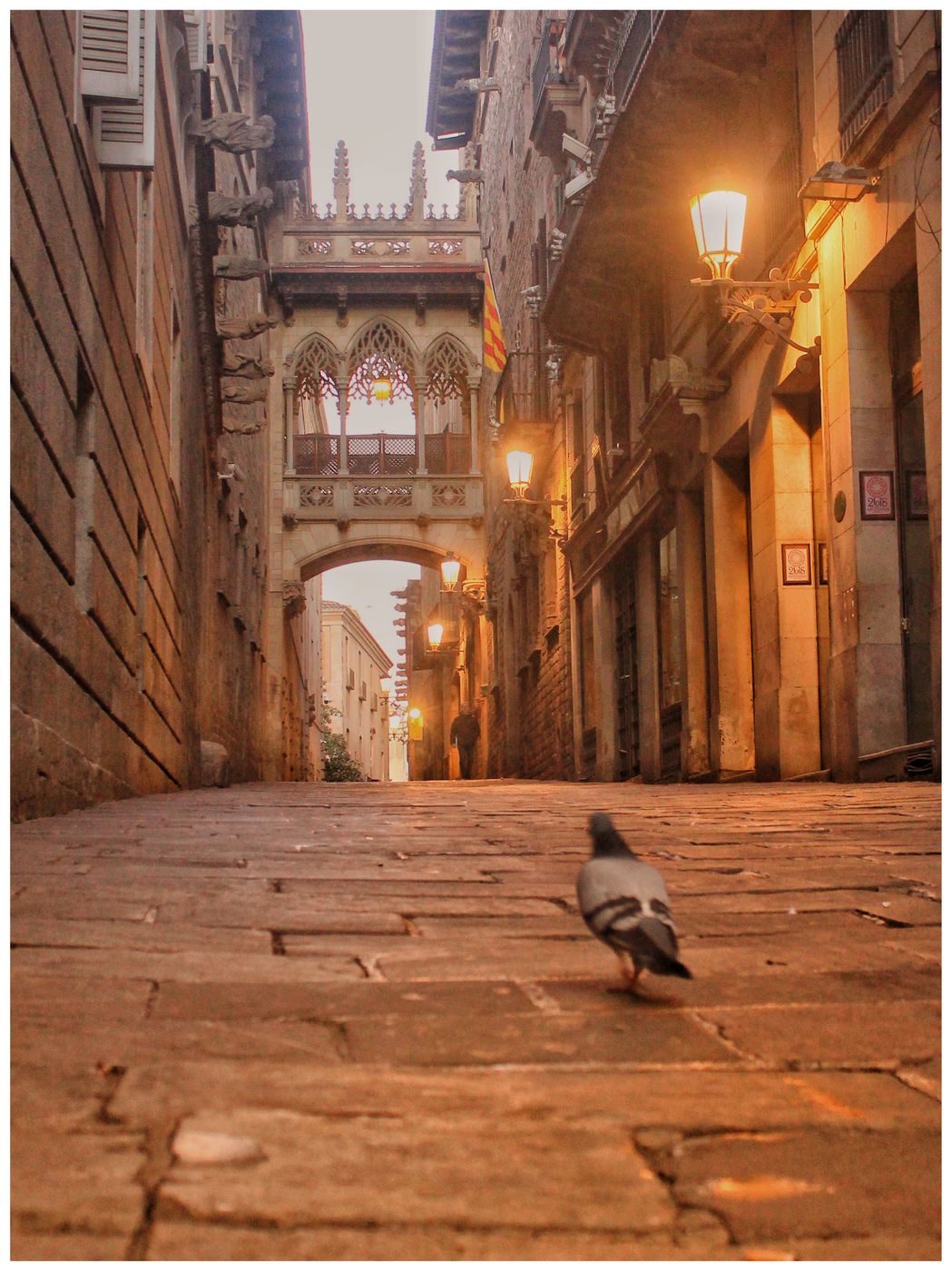 Carrer del Bisbe, Spain