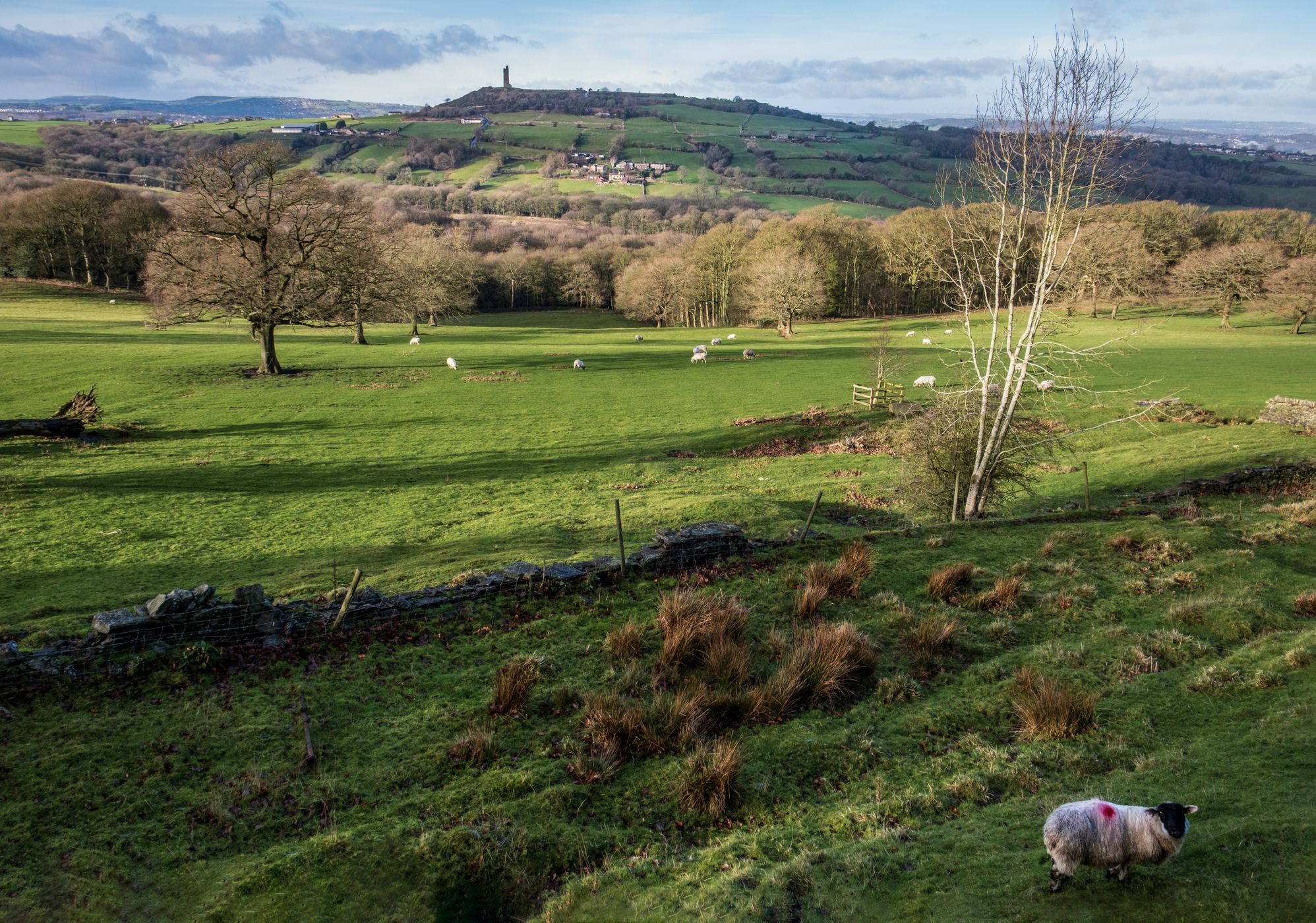 Castle Hill Overlook, United Kingdom