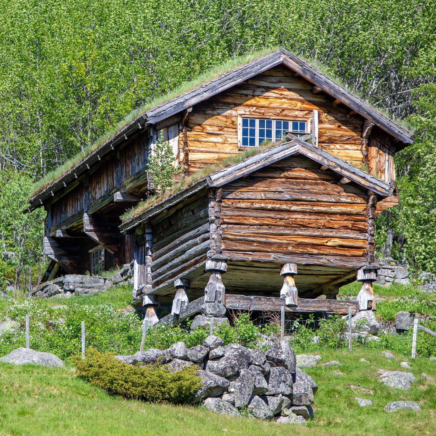 Dokki farm, Norway