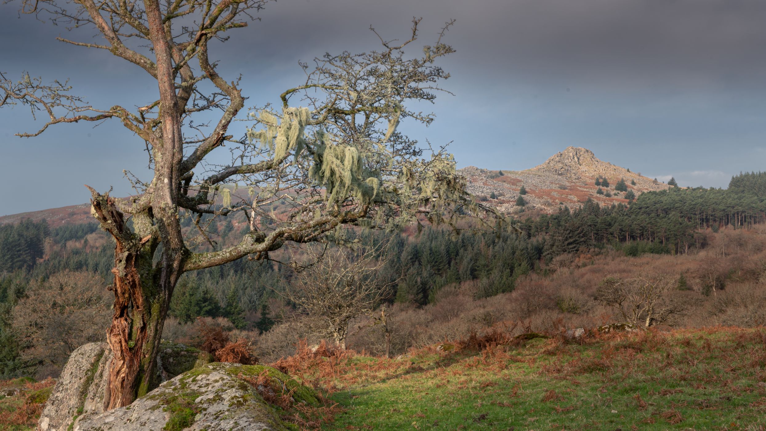 Down Tor, United Kingdom