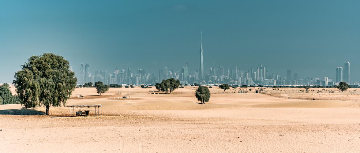 Dubai Desert-Skyline View
