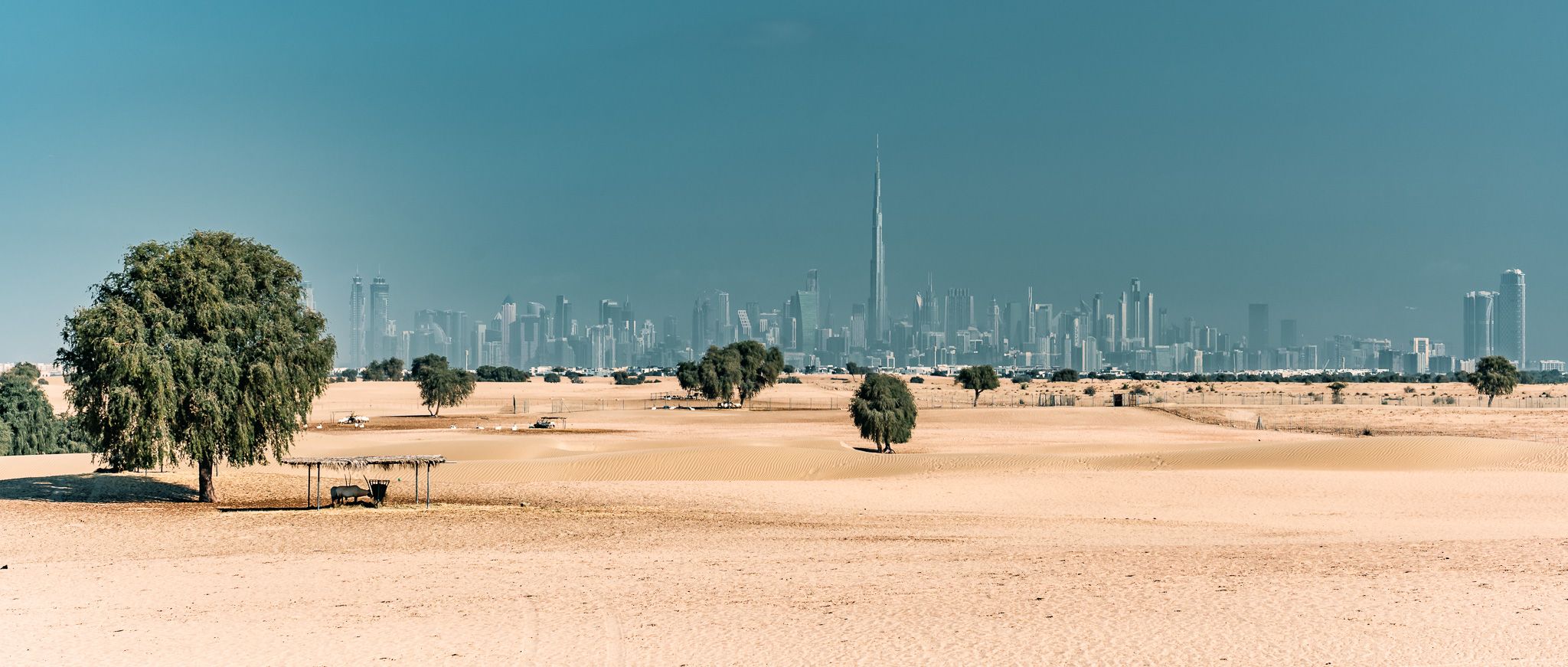 Dubai Desert-Skyline View, United Arab Emirates