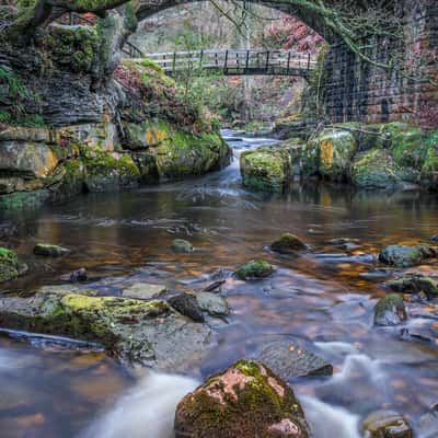 eller beck, United Kingdom