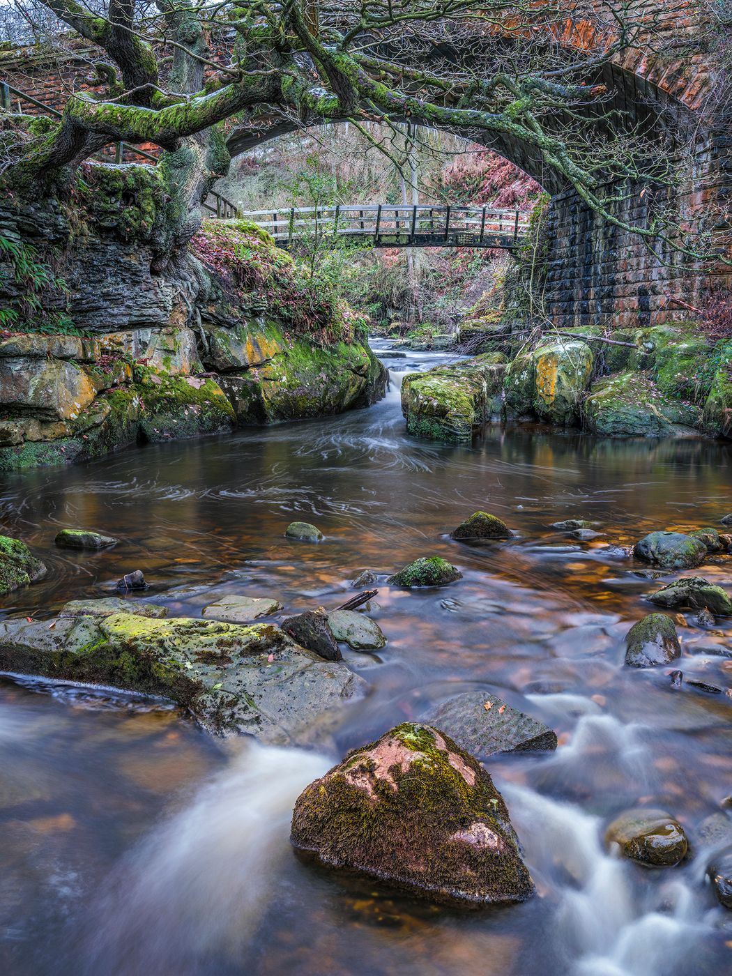 eller beck, United Kingdom