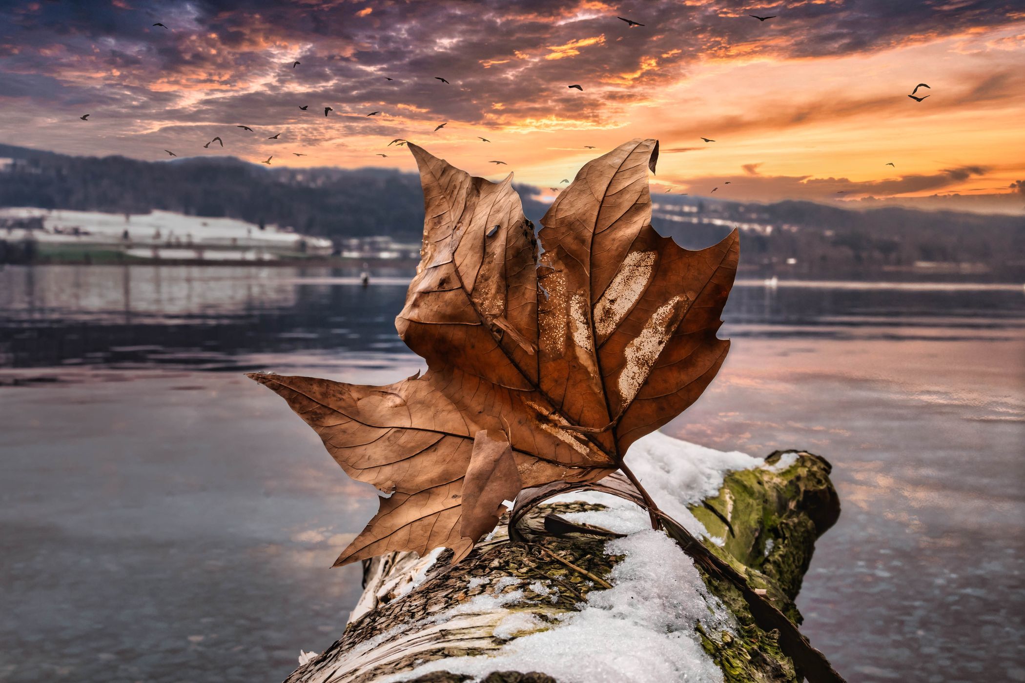 Greifensee, Switzerland