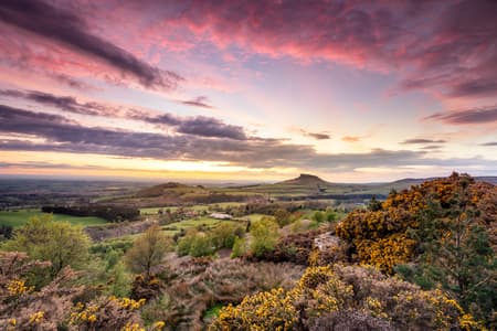 Top Photo Spots at Gribdale Gate in 2024