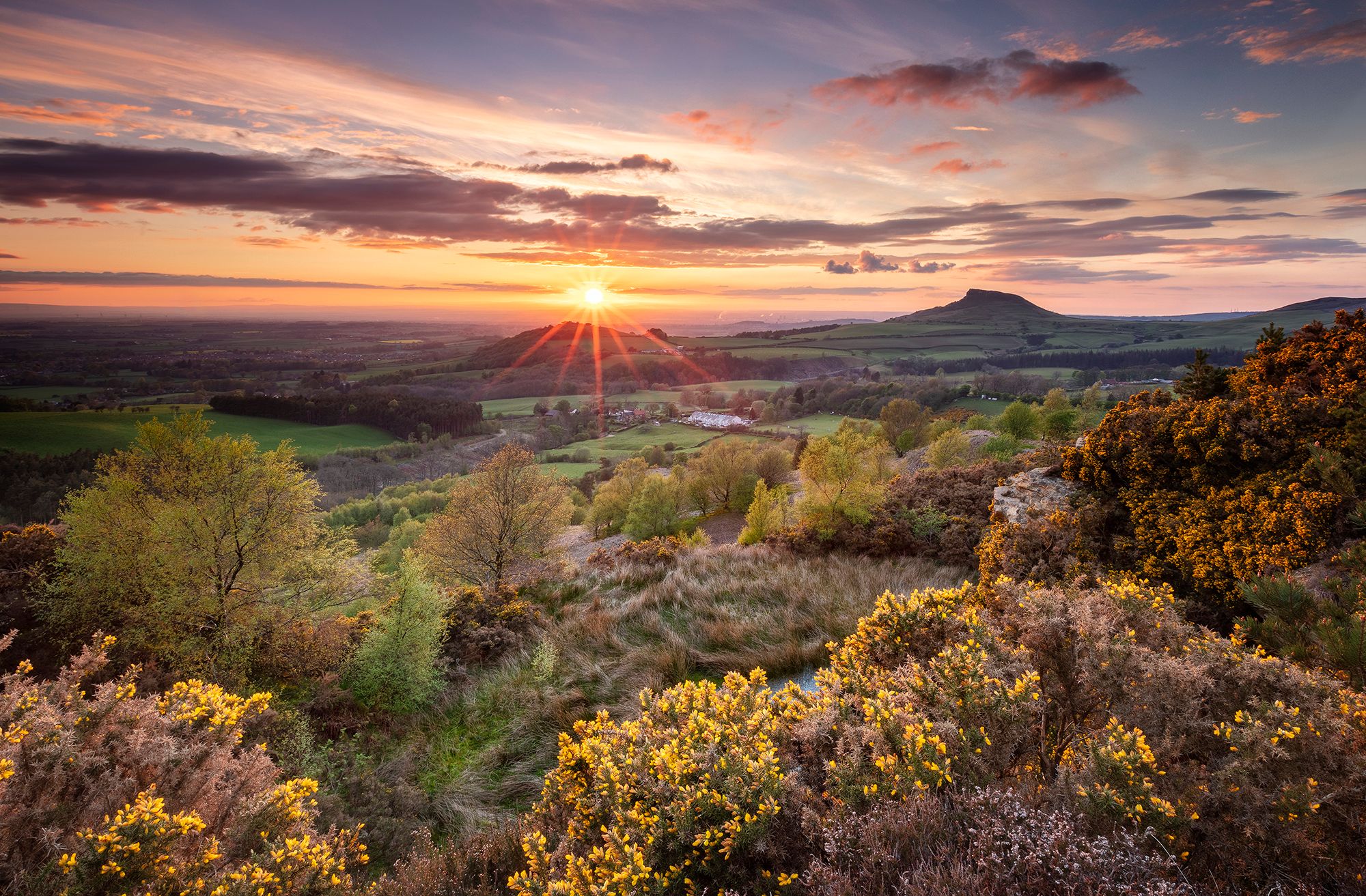 Gribdale Gate, United Kingdom