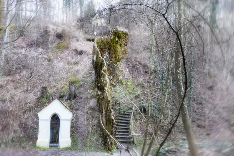 Growing Rock