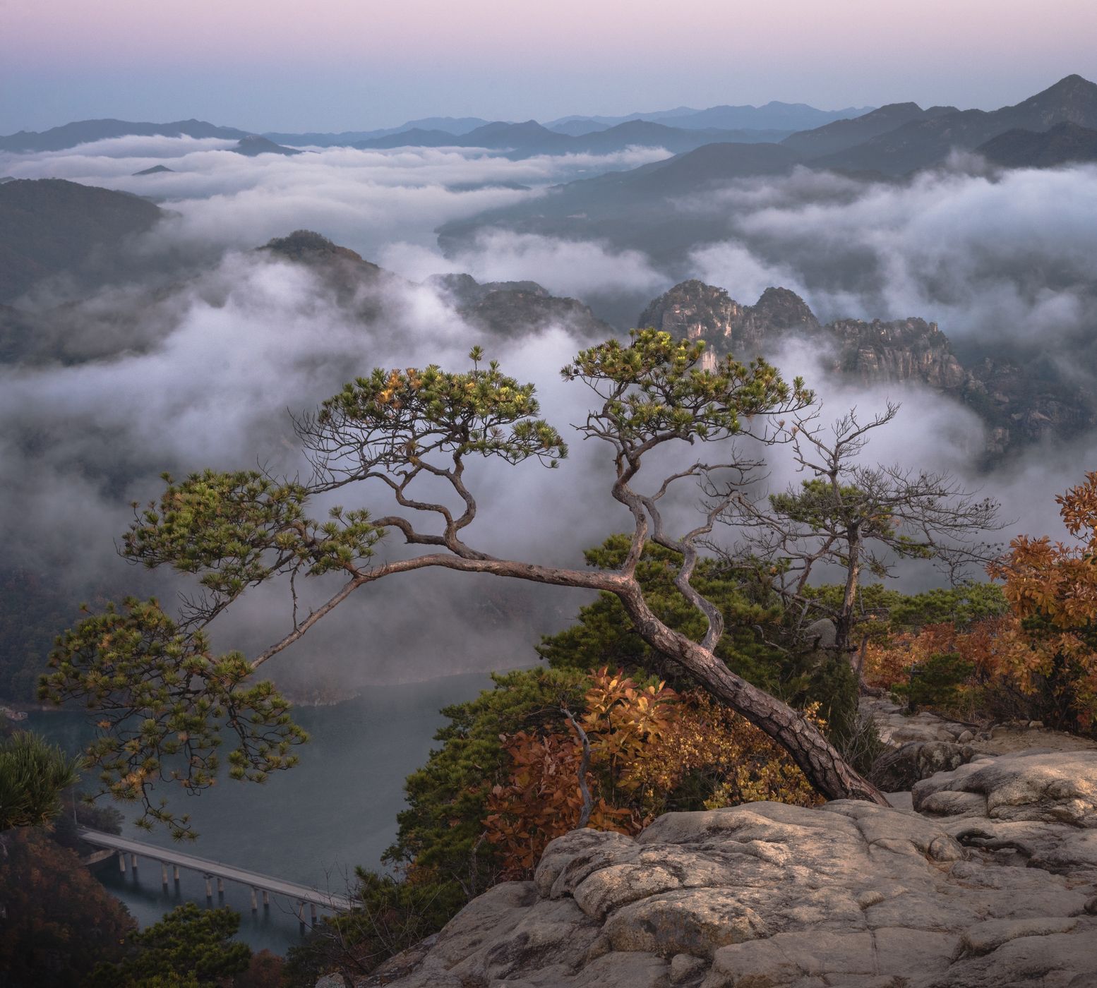 Jebibong pine, Woraksan, South Korea