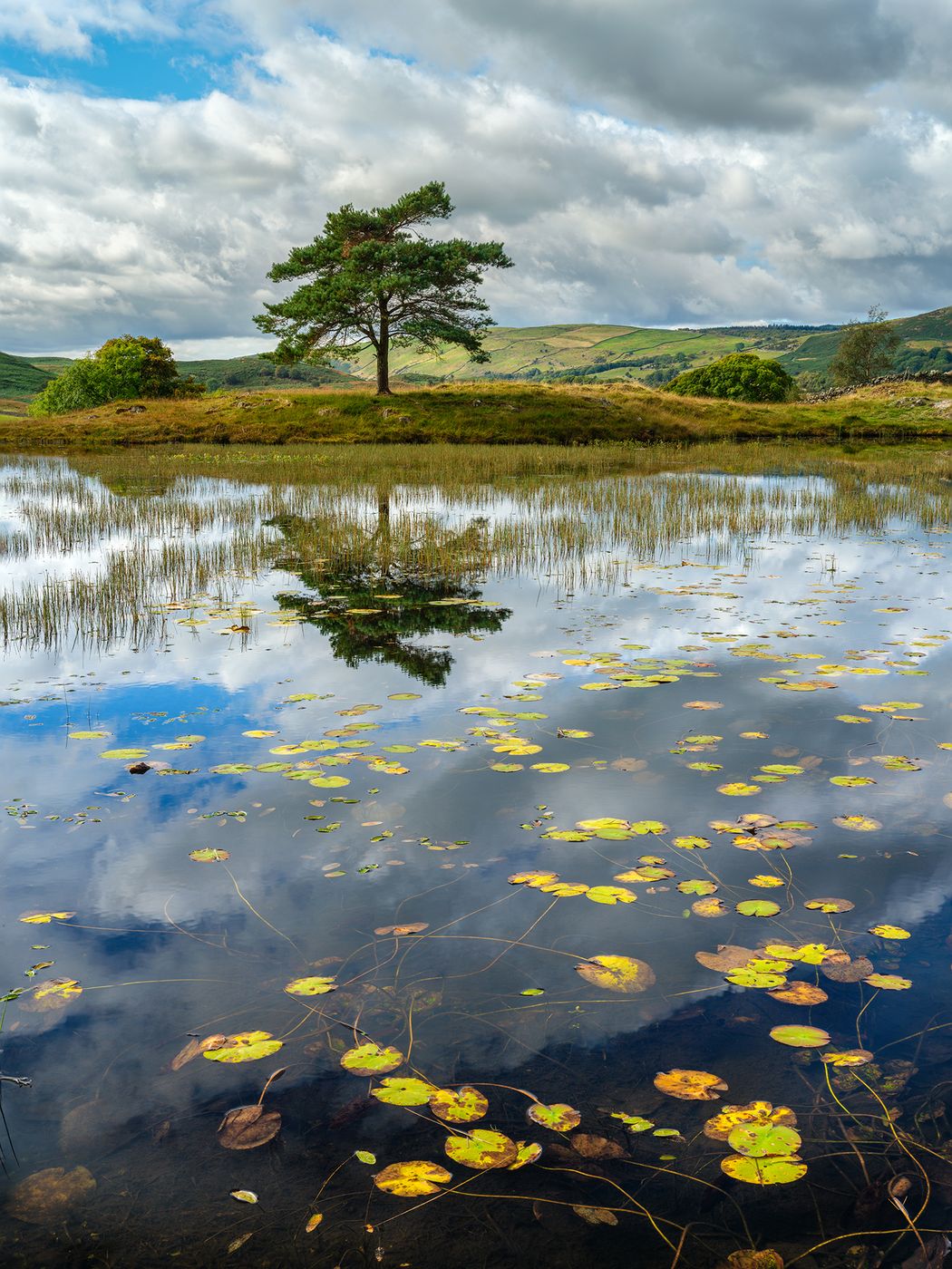 Kelly Hall Tarn, United Kingdom