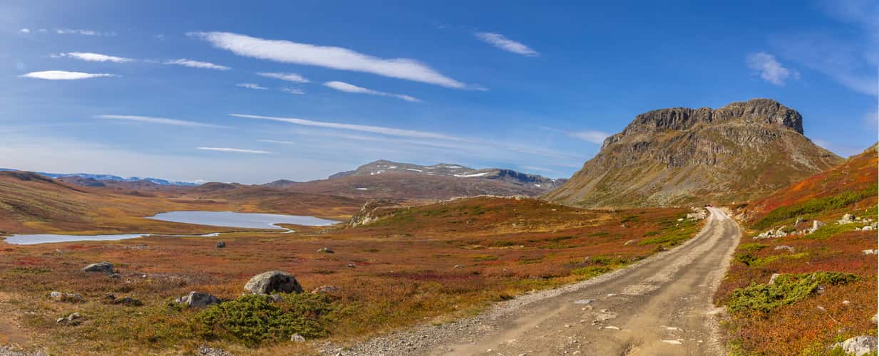 Lauvdalsbrea