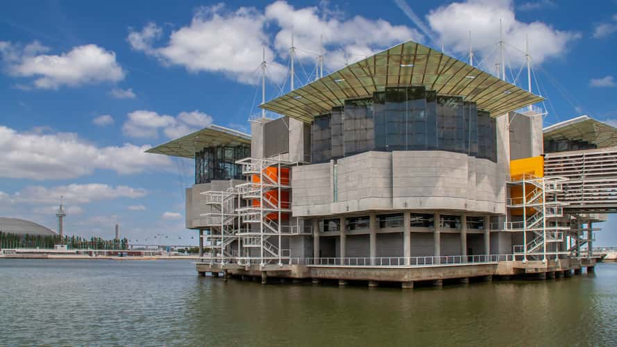 Lisbon's Oceanarium