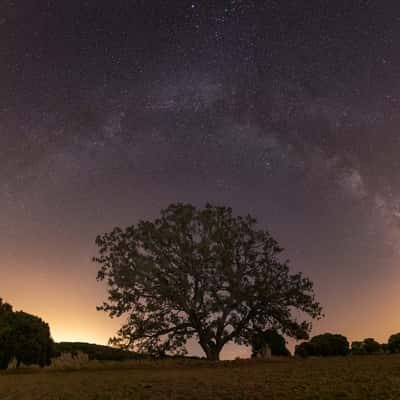 Milky Way at Quejigo de Júrtiga, Spain