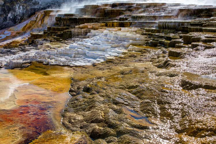 Minerva Terrace at Mammoth Hot Springs