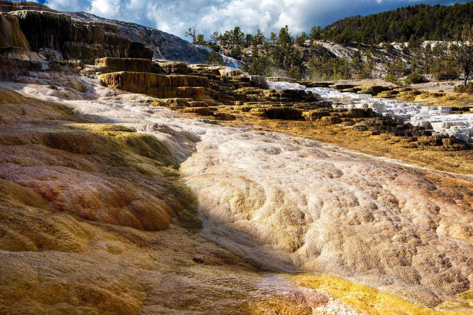 Minerva Terrace at Mammoth Hot Springs, USA