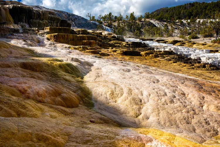 Minerva Terrace at Mammoth Hot Springs