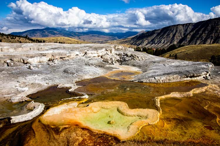 Minerva Terrace at Mammoth Hot Springs