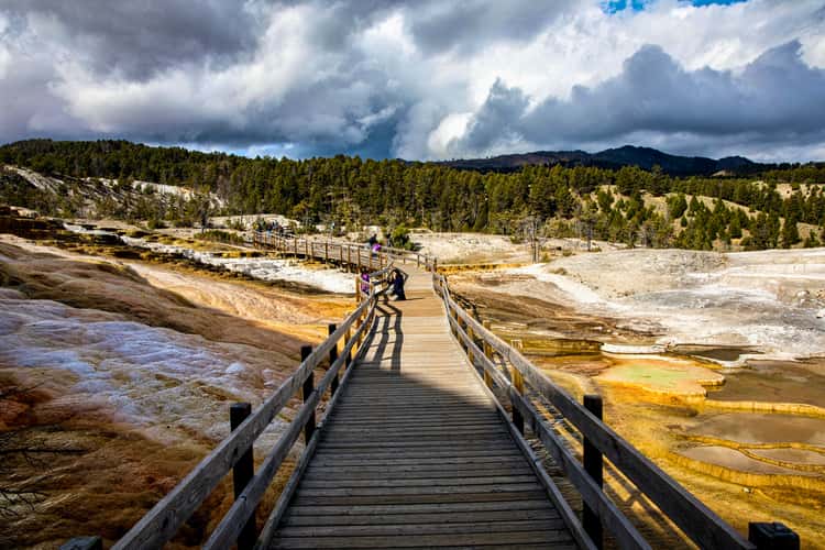Minerva Terrace at Mammoth Hot Springs
