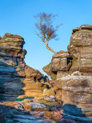National Trust - Brimham Rocks