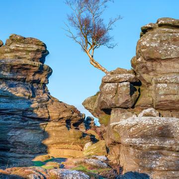 National Trust - Brimham Rocks, United Kingdom