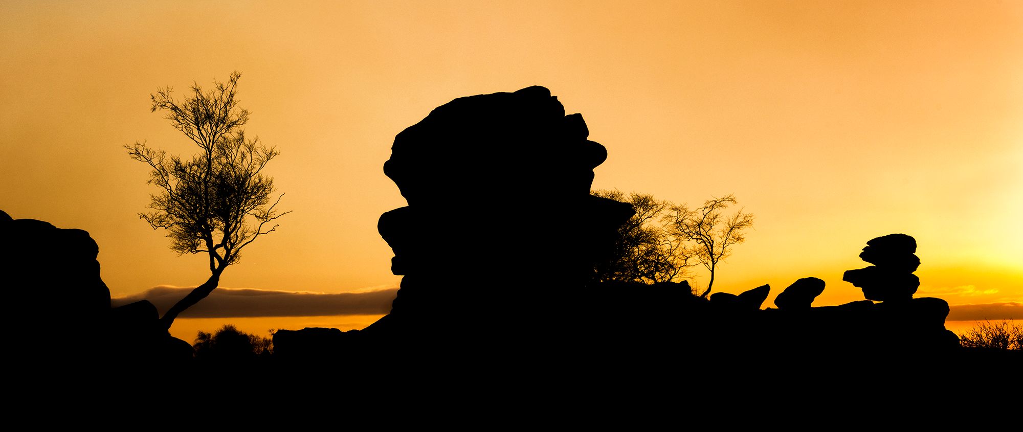National Trust - Brimham Rocks, United Kingdom