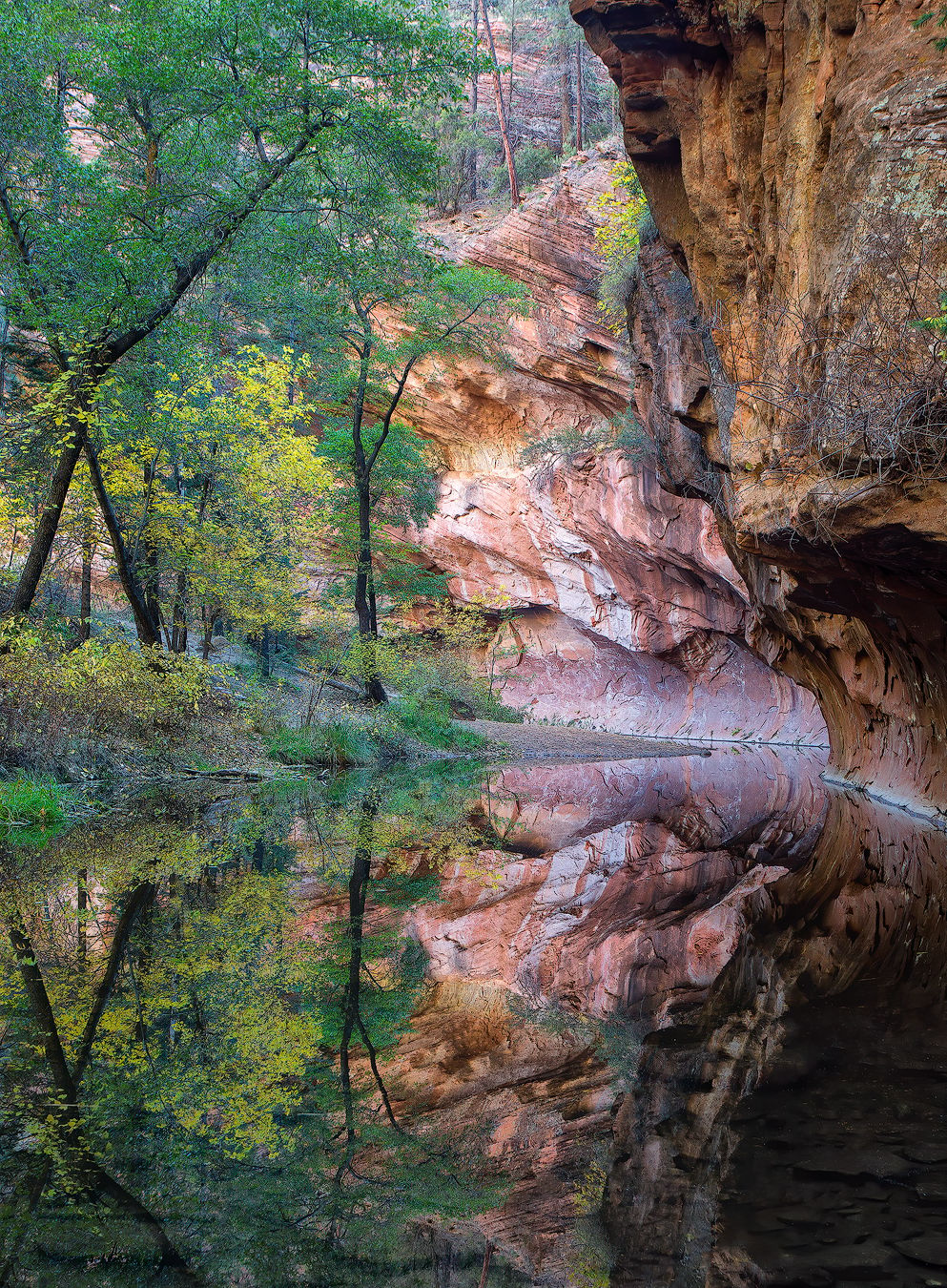 Oak Creek Canyon, USA