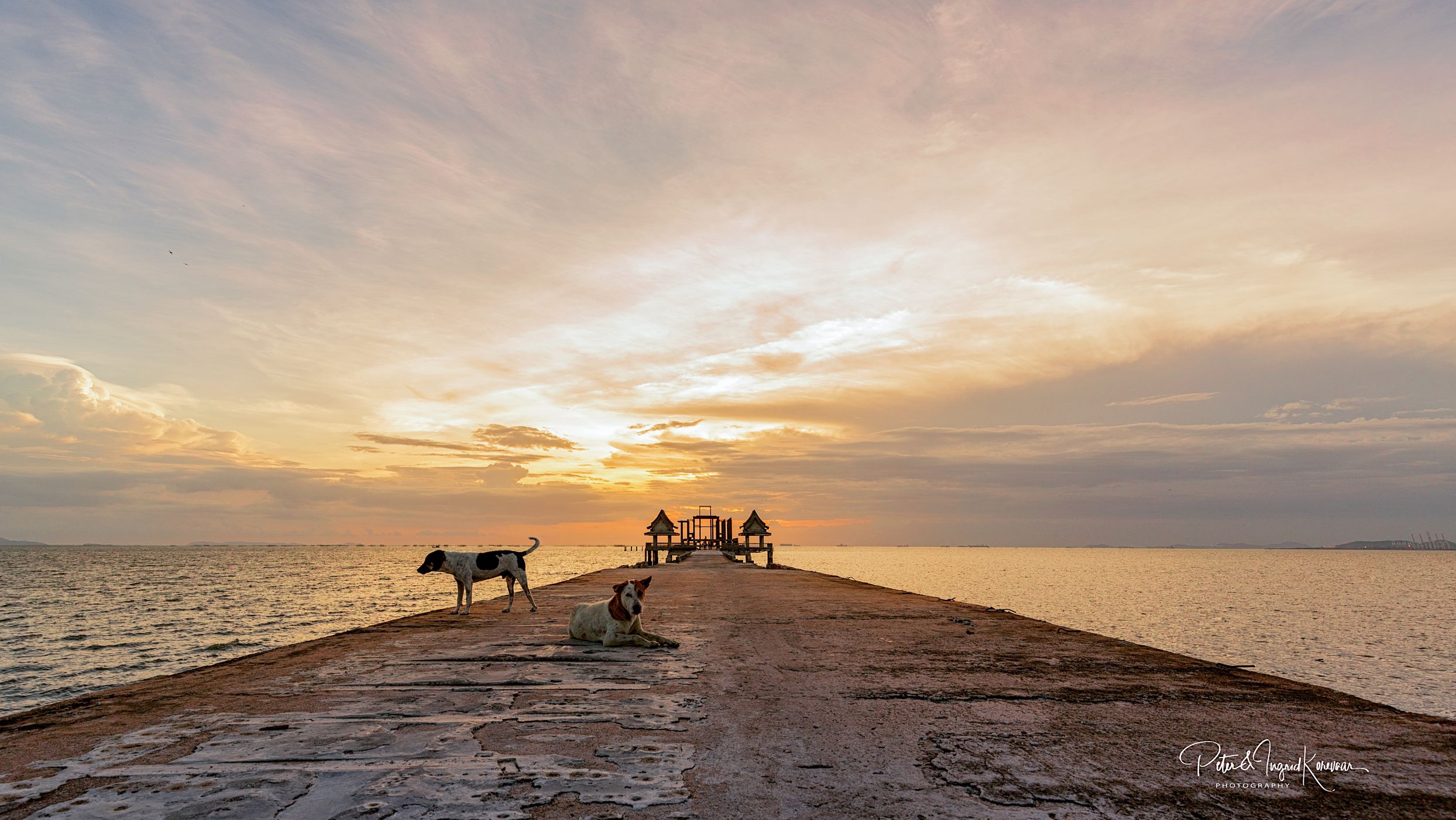 Ocean Sanctuary, Chittaphawan Monks College, Thailand