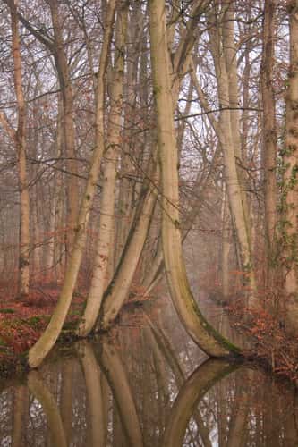 Oelerbeek Delden