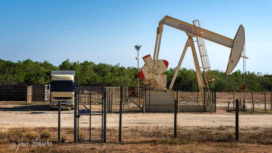 Oil in Cap Ferret