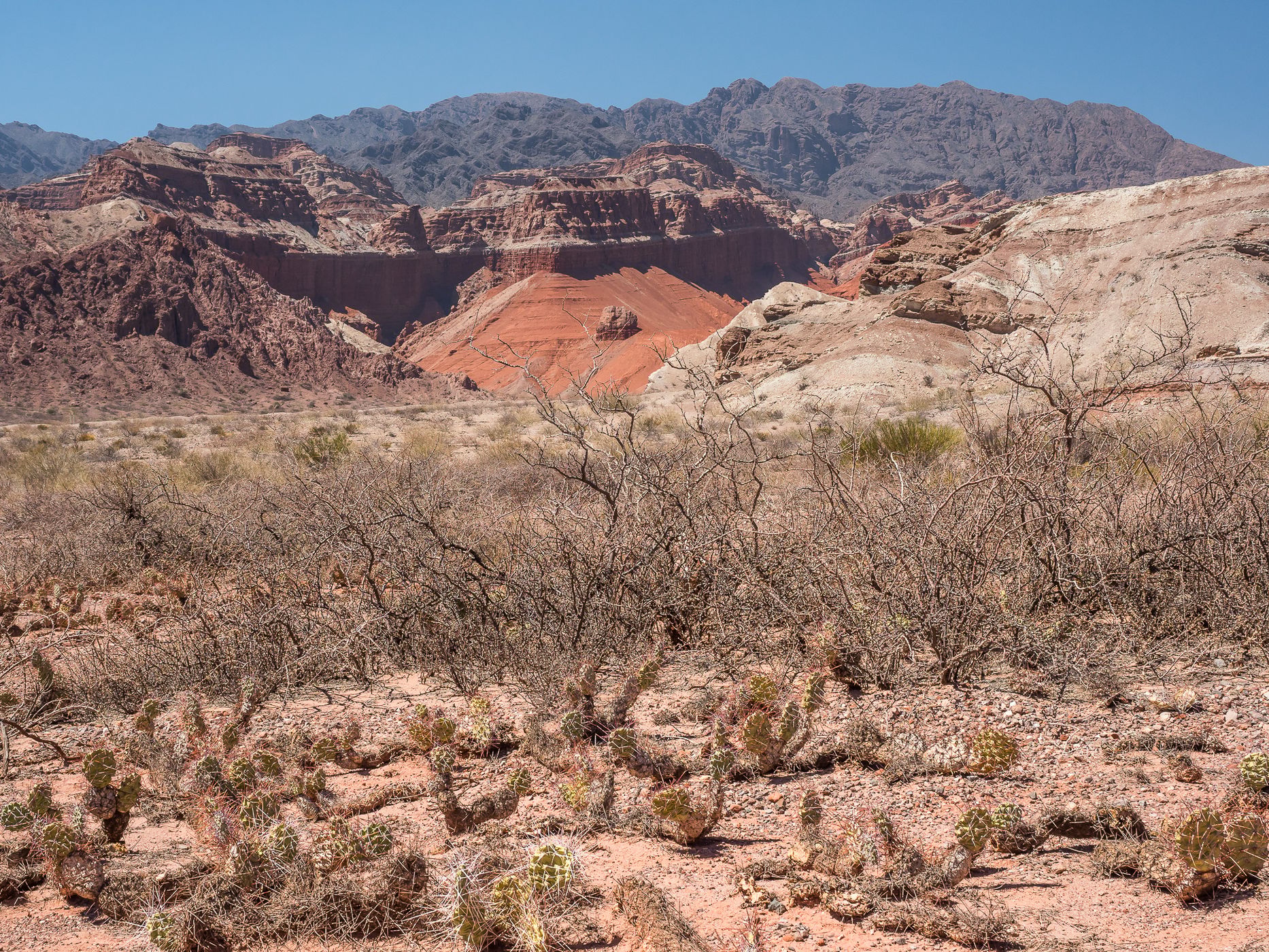 Quebrada de las conchas 'la yesera', Argentina