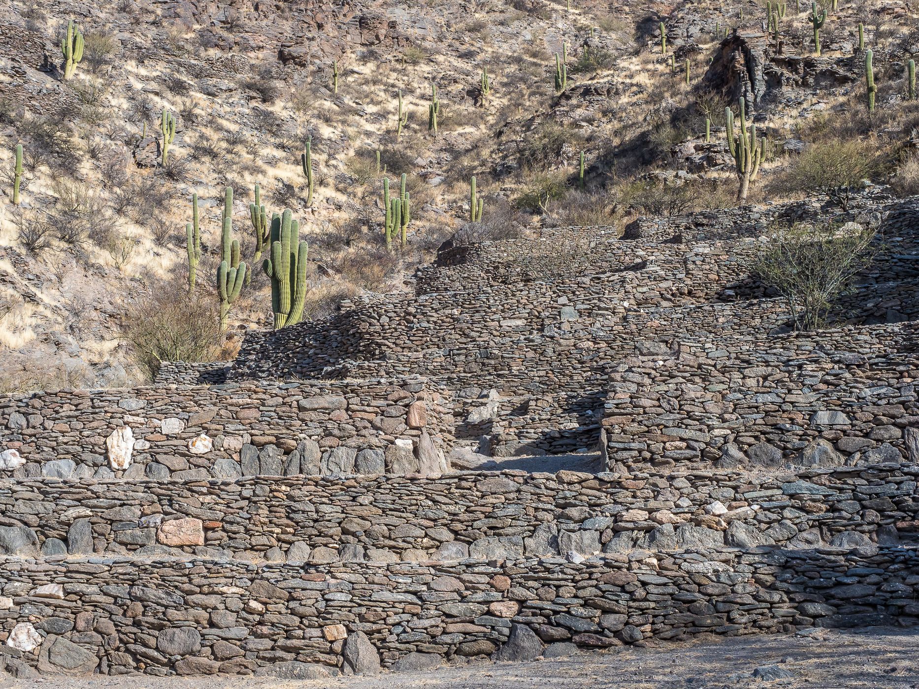 Quilmes Ruins, Argentina