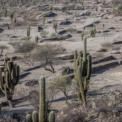 Quilmes Ruins, Argentina