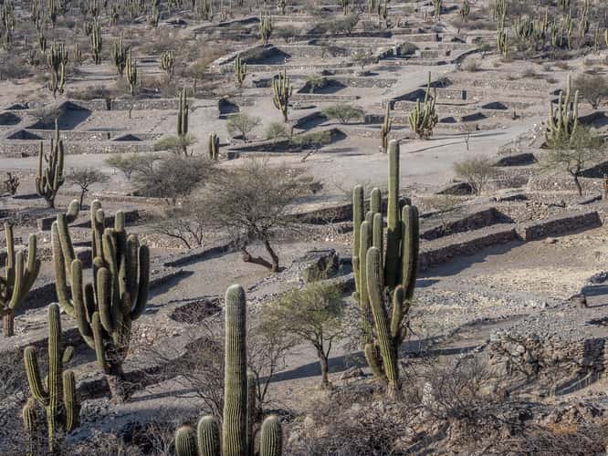 Quilmes Ruins