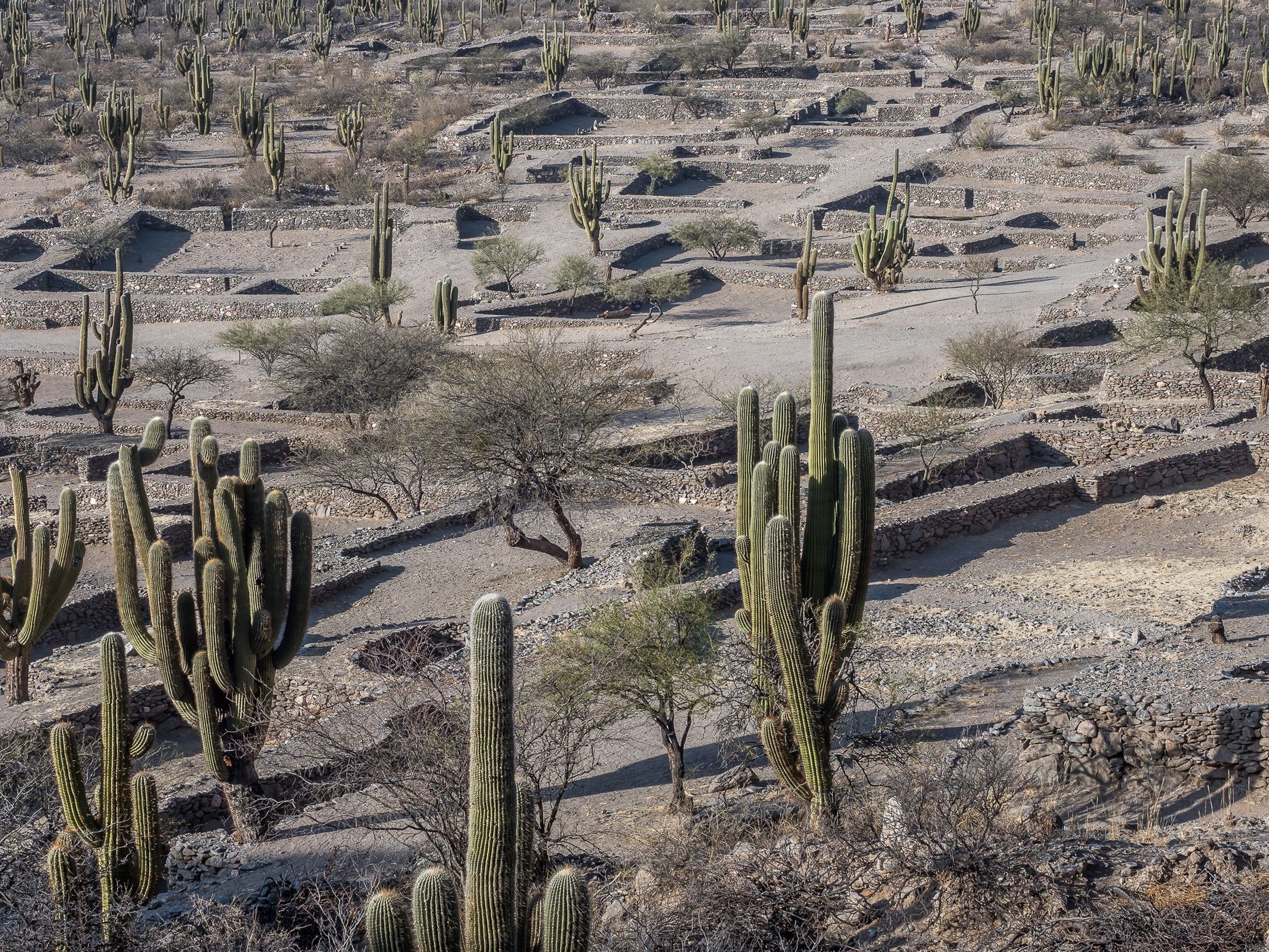 Quilmes Ruins, Argentina