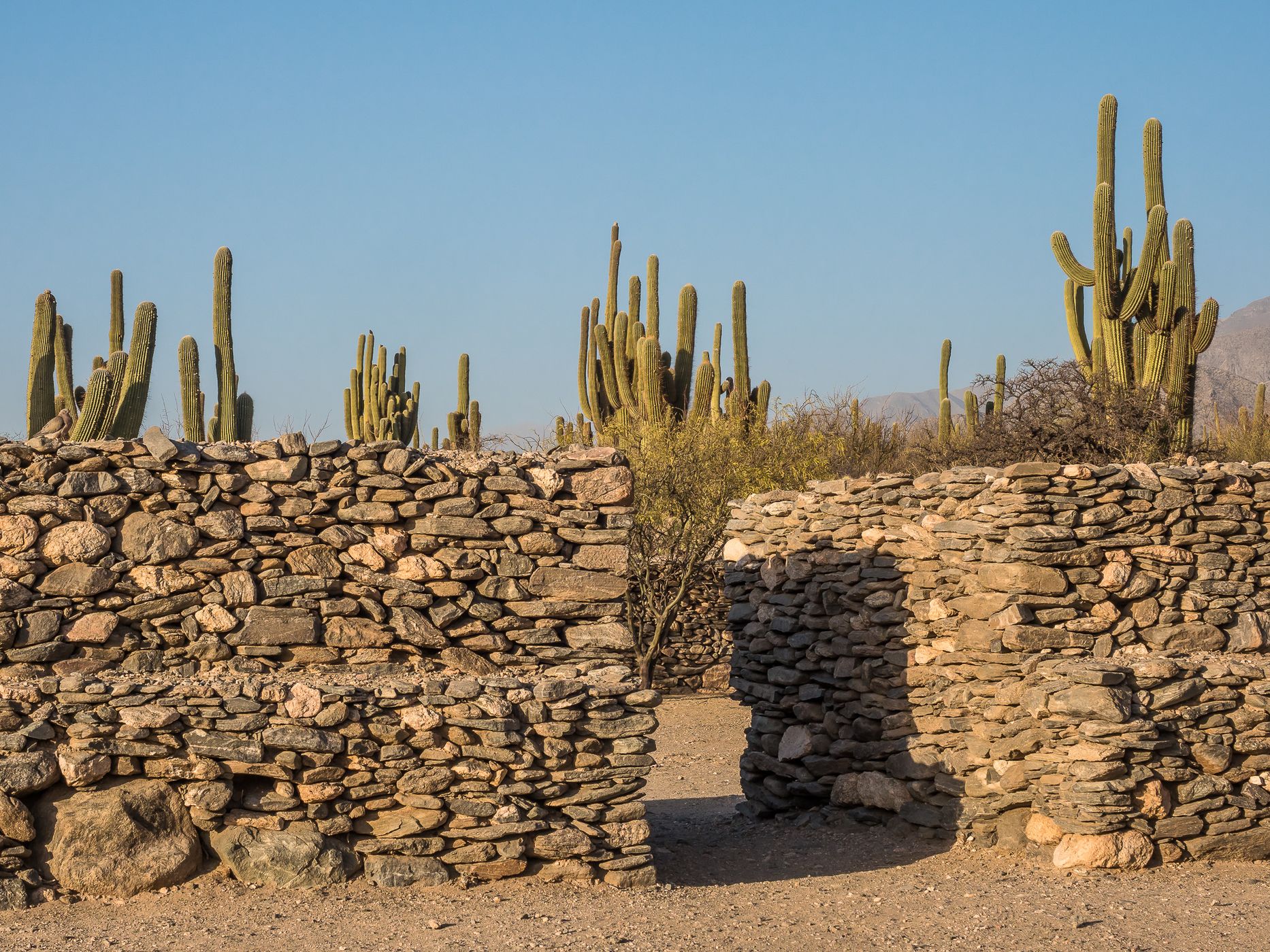 Quilmes Ruins, Argentina