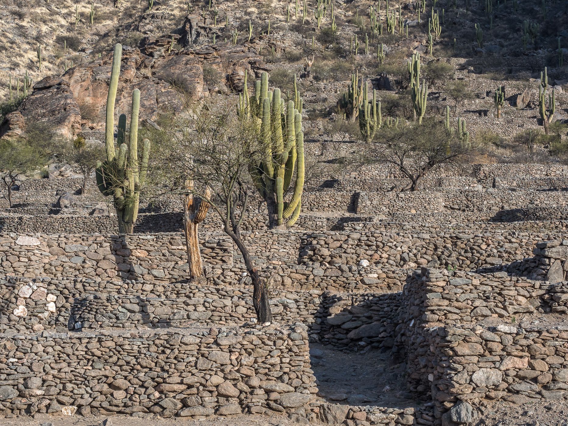 Quilmes Ruins, Argentina