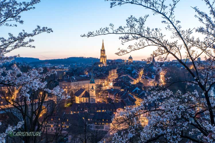  View over the Old Town of Bern