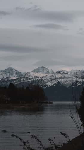 Schadaupark