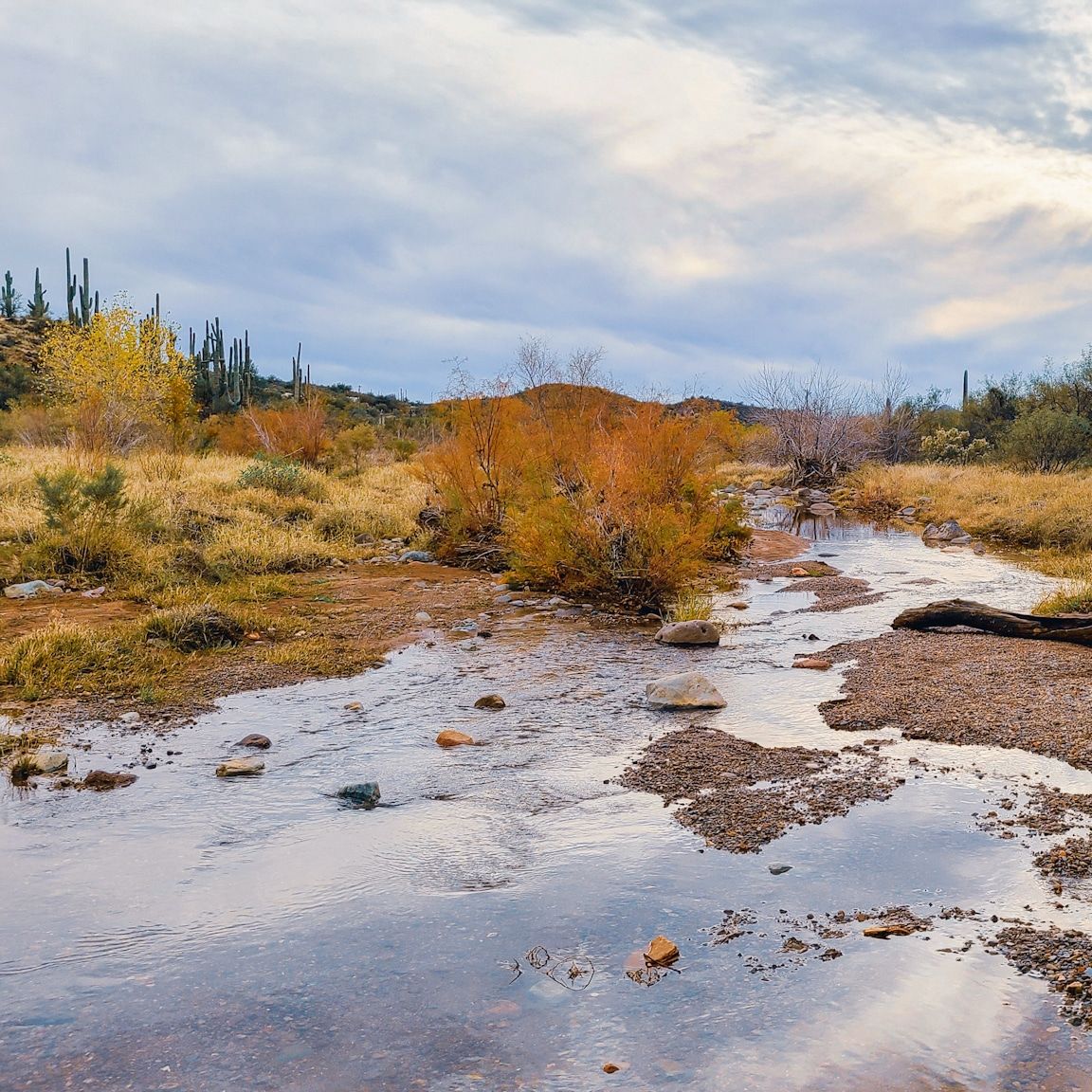 Spur Cross Trail, USA