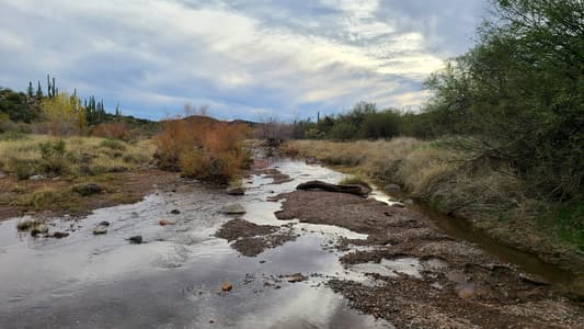 Spur Cross Trail