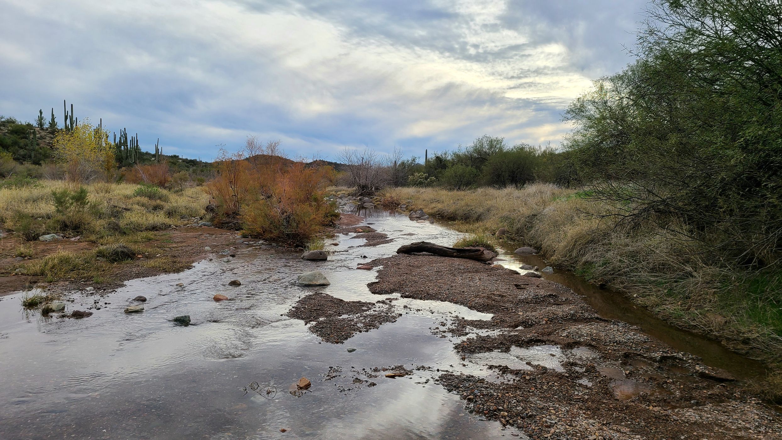 Spur Cross Trail, USA