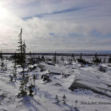 Sub Artic Landscapes in Northern Manitoba, Canada