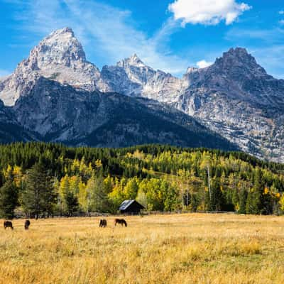 The Tetons, USA