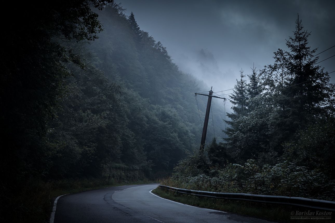 Transfagarasan misty trees, Romania