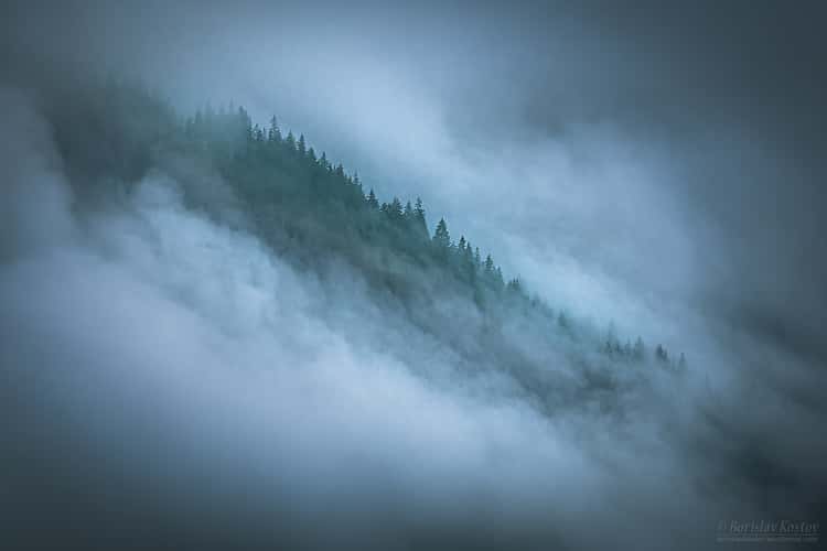 Transfagarasan misty trees
