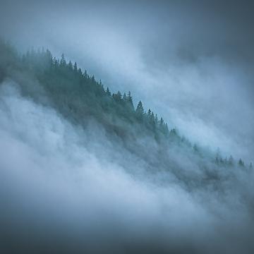 Transfagarasan misty trees, Romania