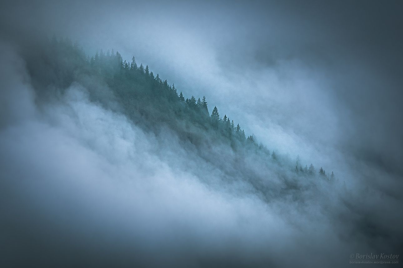 Transfagarasan misty trees, Romania