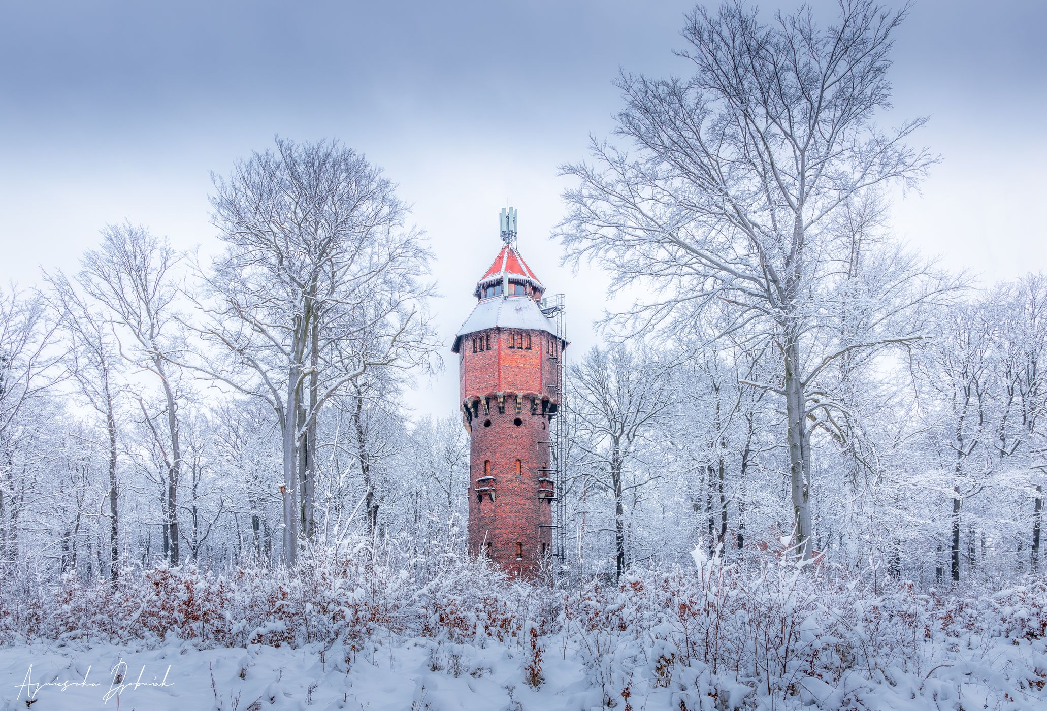 Water Tower in Giszowiec, Poland, Poland