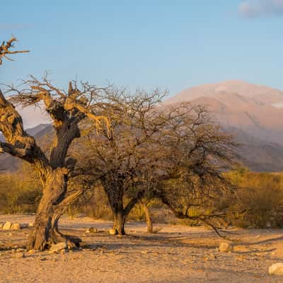 West of Animaná, Argentina