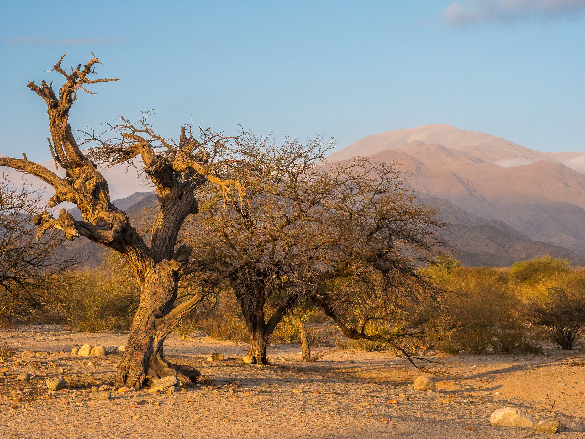West of Animaná, Argentina